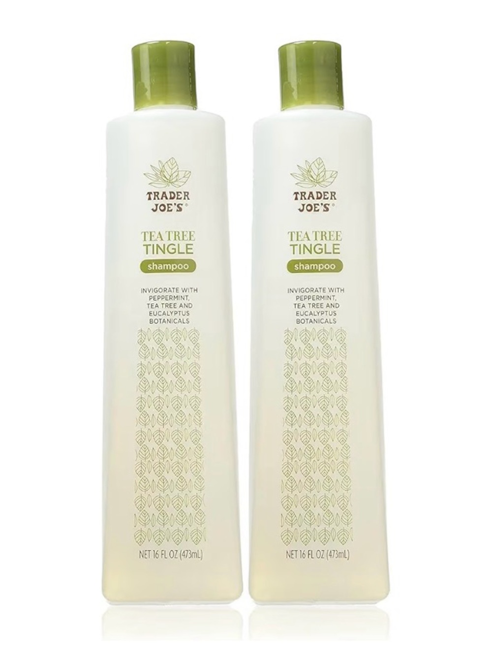 Trader Joe's Tea Tree Tingle Shampoo - Green (16 fl oz)